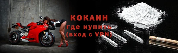 ПСИЛОЦИБИНОВЫЕ ГРИБЫ Абаза