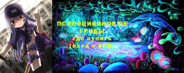 хмурый Абинск