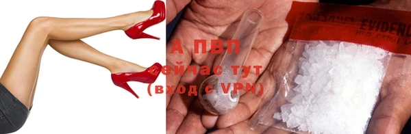 ПСИЛОЦИБИНОВЫЕ ГРИБЫ Абаза