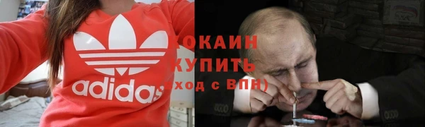 ПСИЛОЦИБИНОВЫЕ ГРИБЫ Абаза