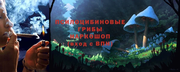 ПСИЛОЦИБИНОВЫЕ ГРИБЫ Абаза