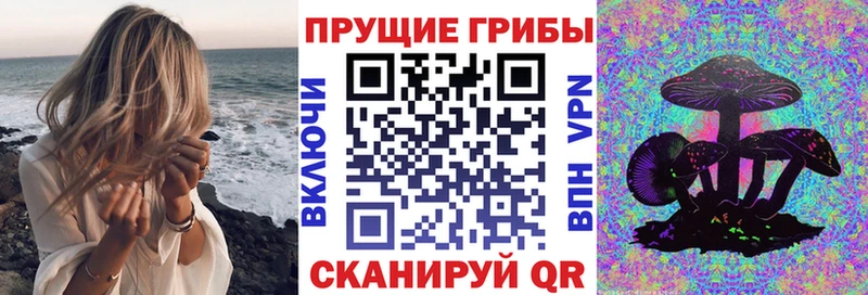 наркота Изобильный это состав Псилоцибиновые грибы мухоморы