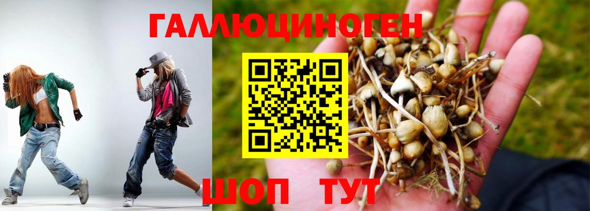 Изобильный  как найти закладки  Вход с VPN  Галлюциногенные грибы Psilocybine cubensis 